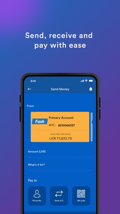 FLASH screenshot 3